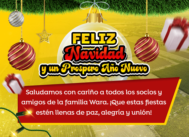 Feliz Navidad